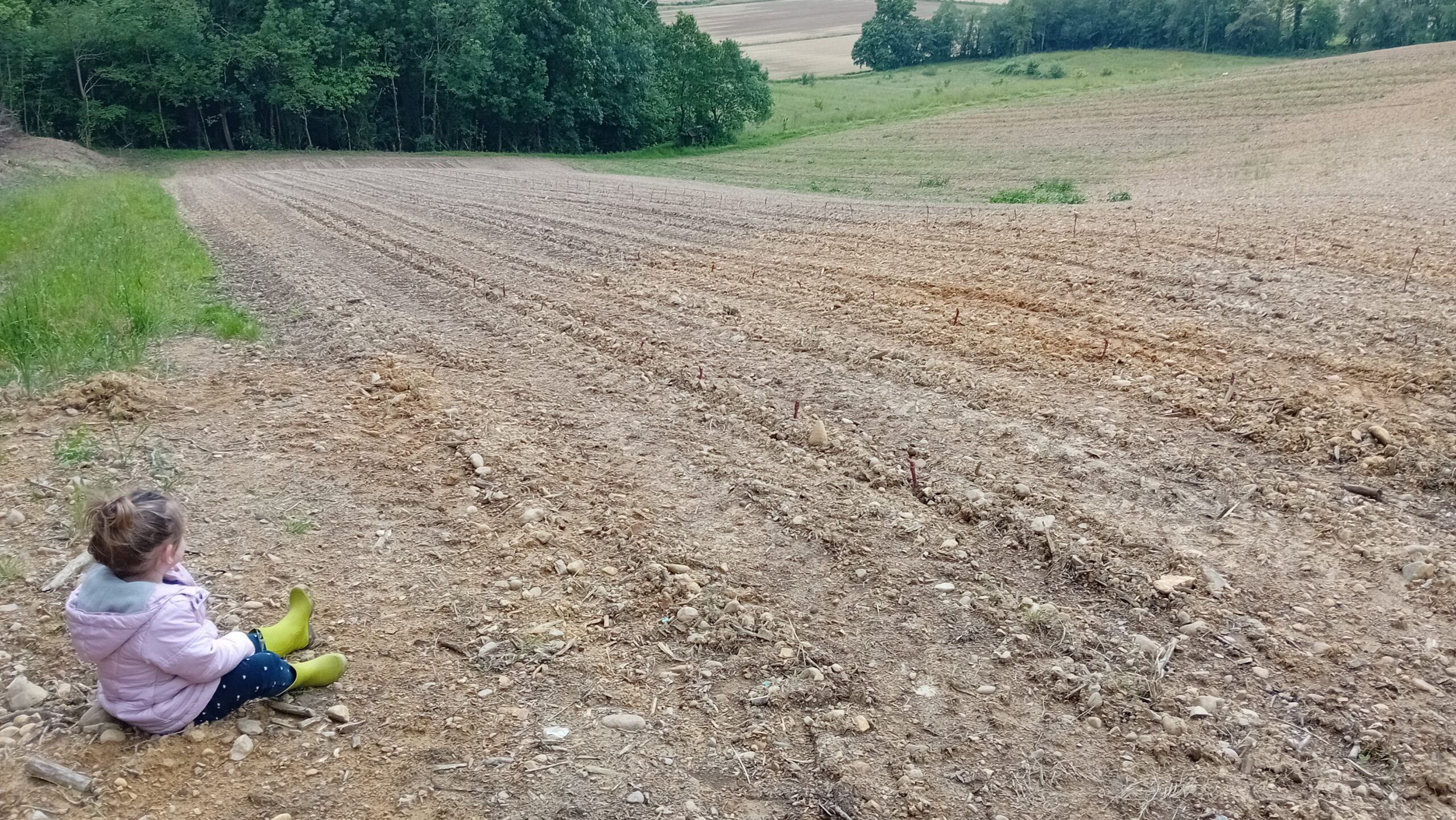 Clos Gassiot