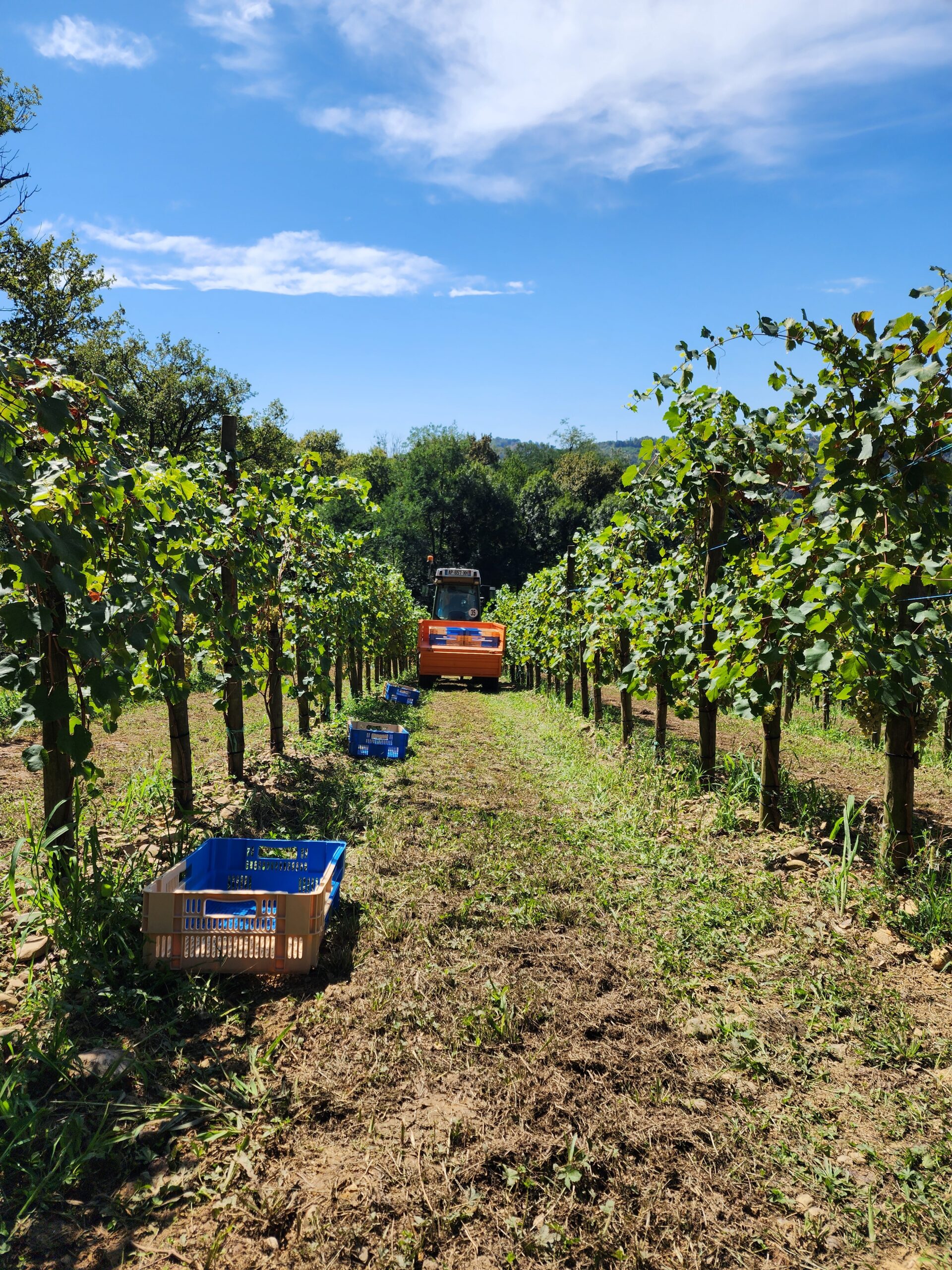 Clos Gassiot