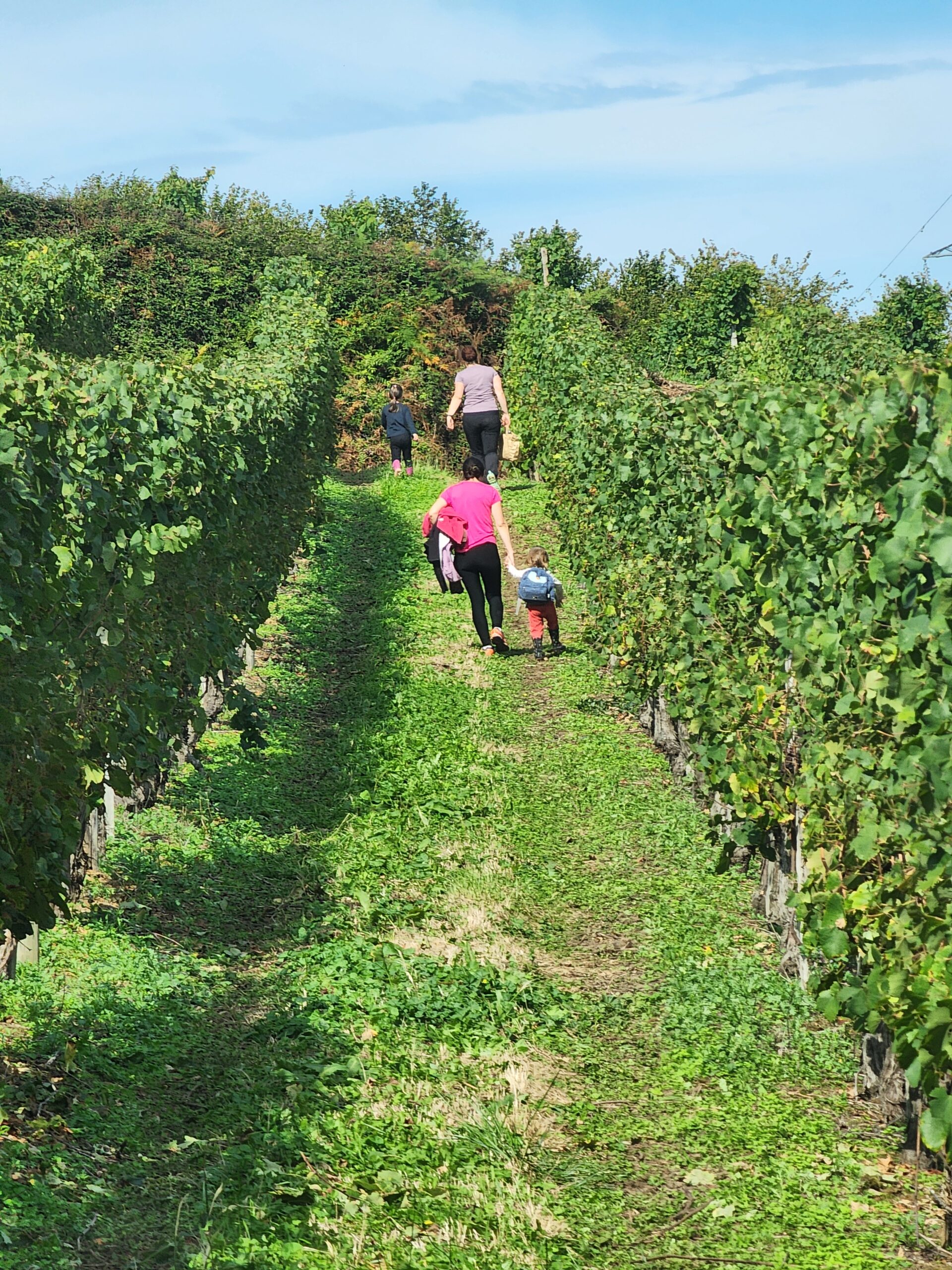 Clos Gassiot