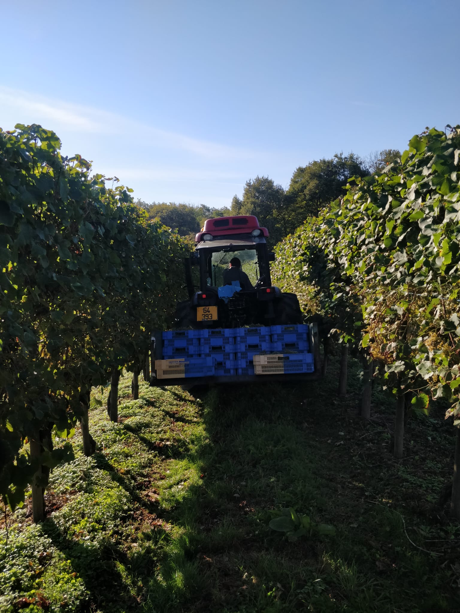 Clos Gassiot